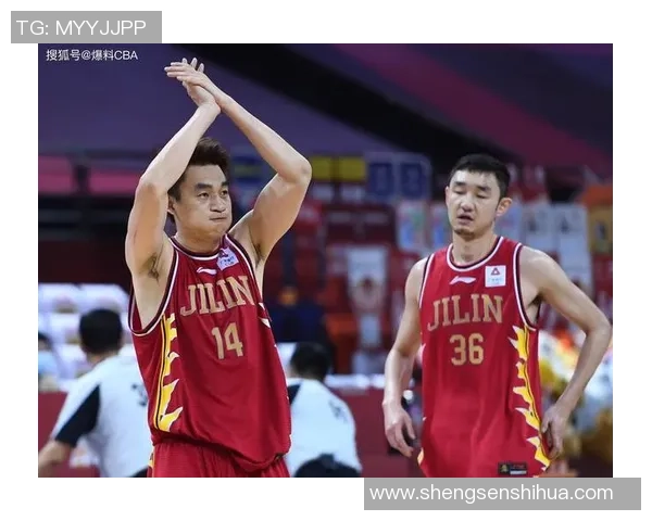辽宁队与深圳队激战正酣17cba赛季精彩对决引发球迷热议